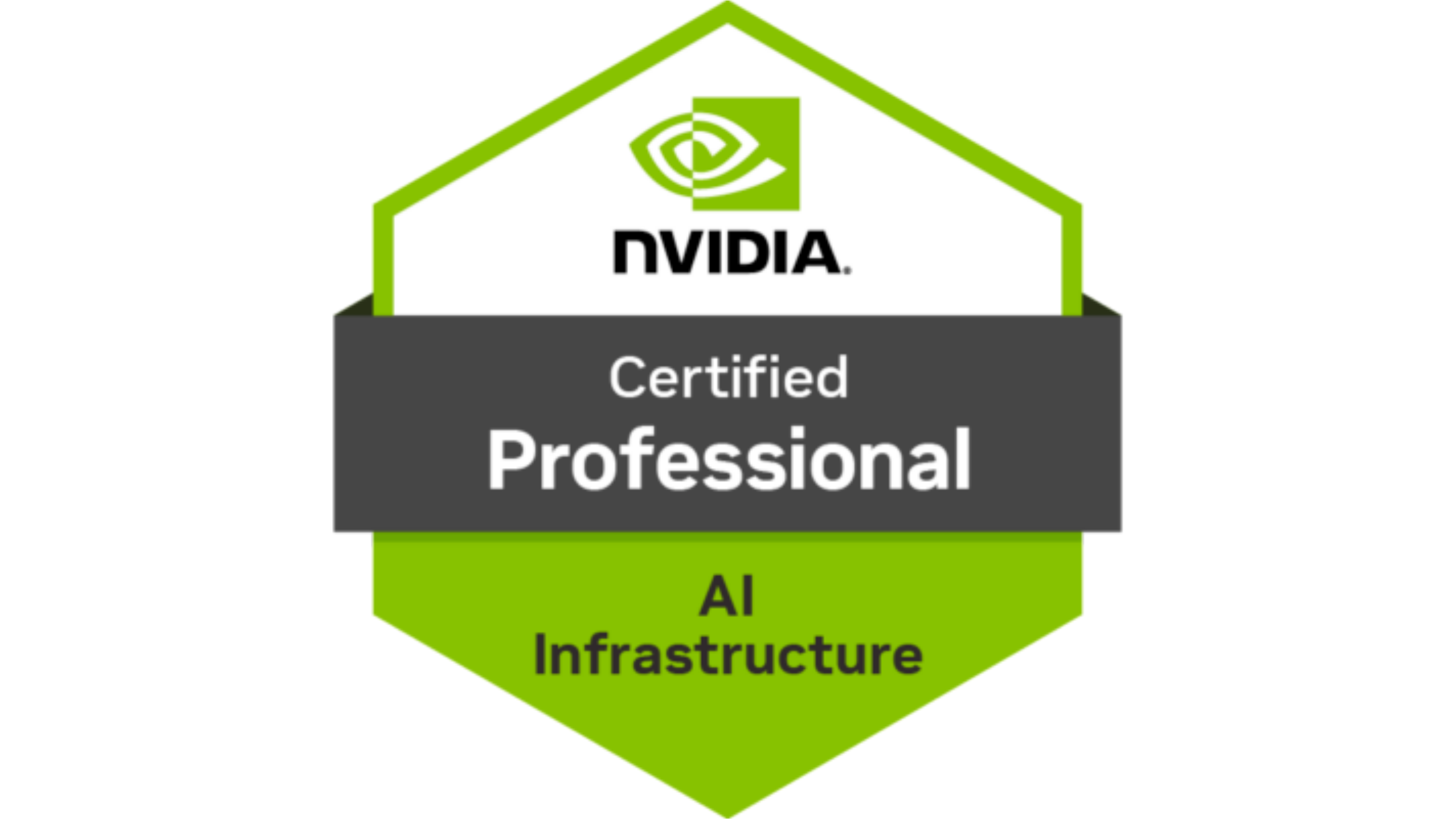 AI Infrastructure Professional