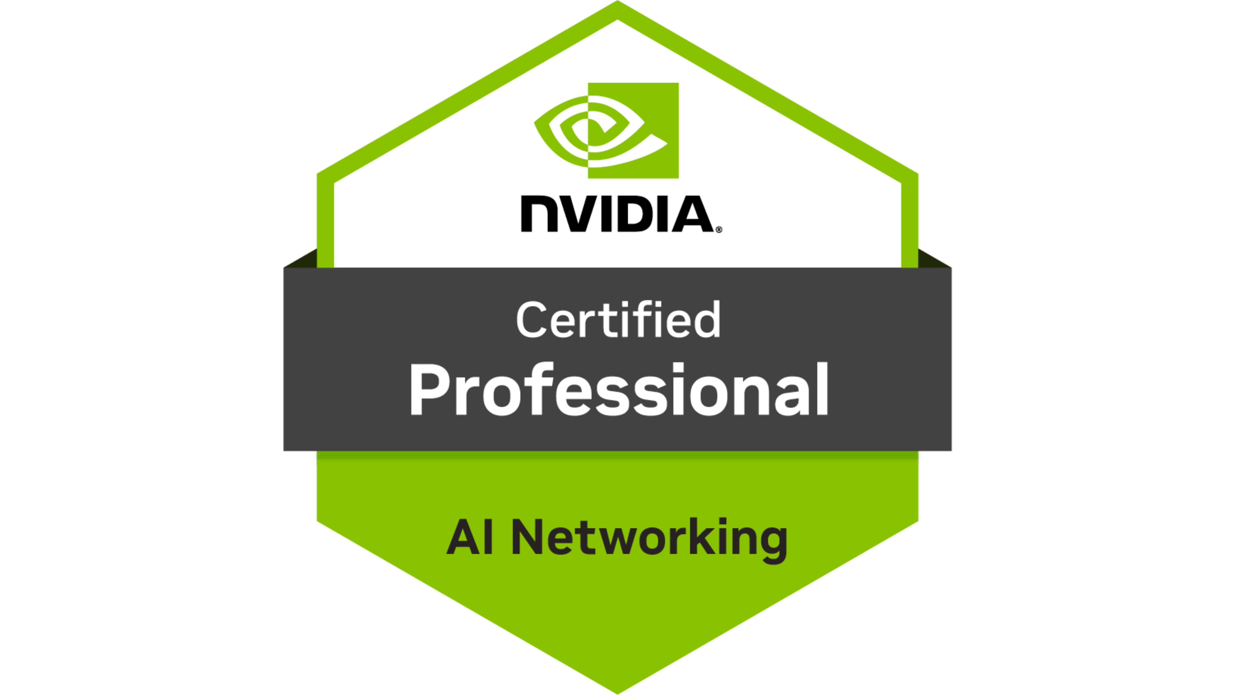 AI Networking Professional